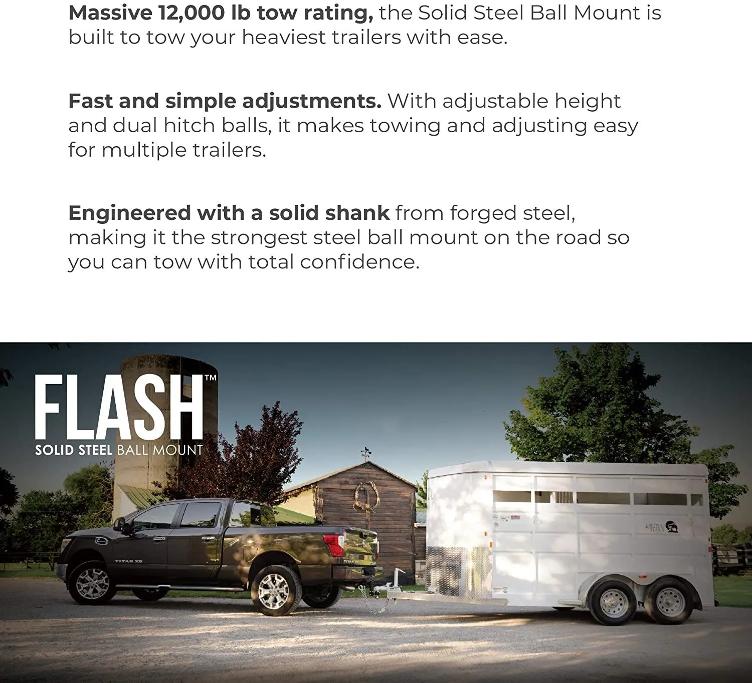 Flash 10In  drop Solid Steel 2